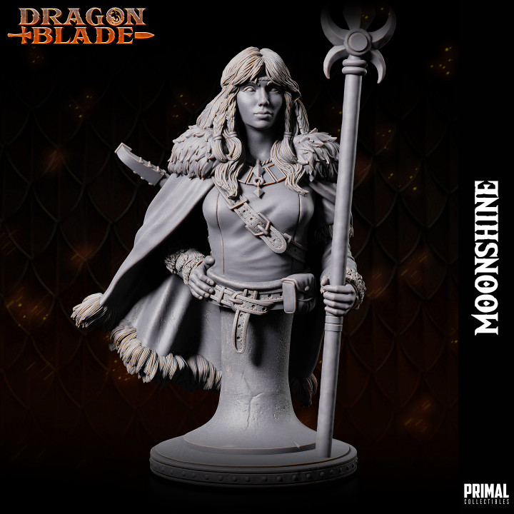 Cleric - Moonshine - bust -  July 2023 - DRAGONBLADE-  MASTERS OF DUNGEONS QUEST image