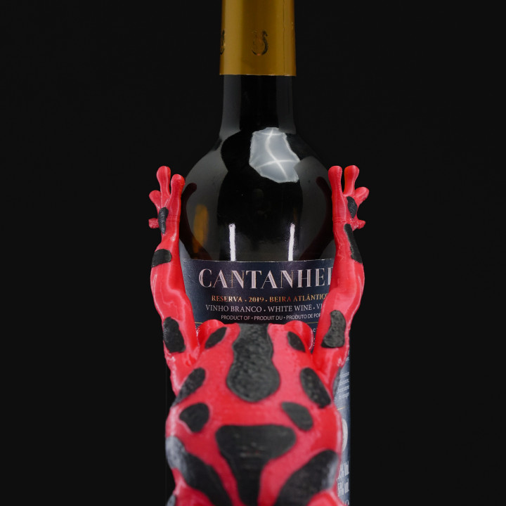 Frog Wine Holder 1 image