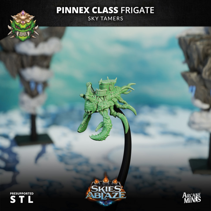 Pinnex Class Frigate - Sky Tamers image
