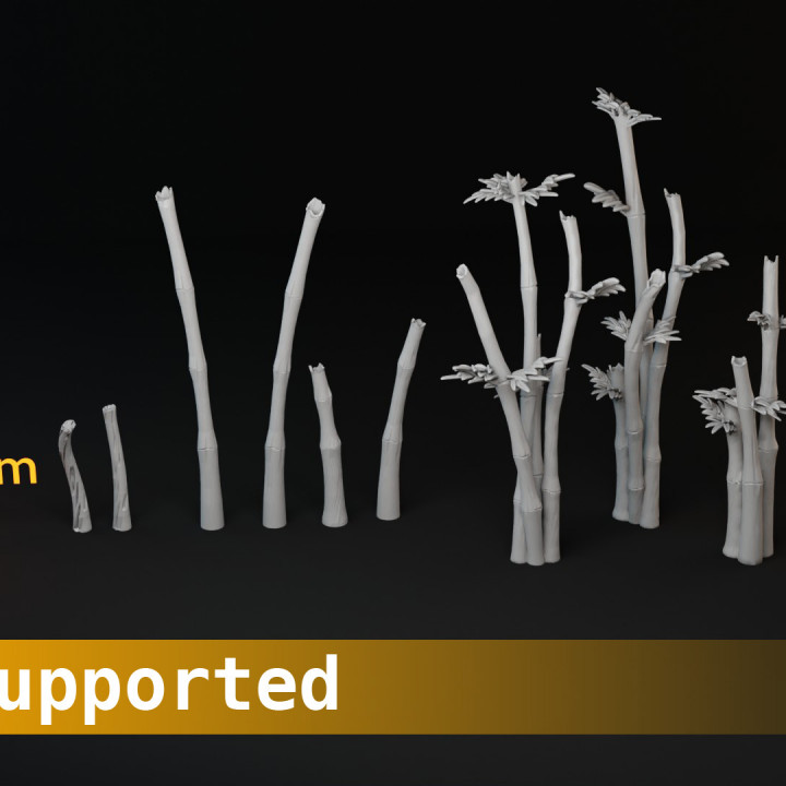 Bamboo Set A