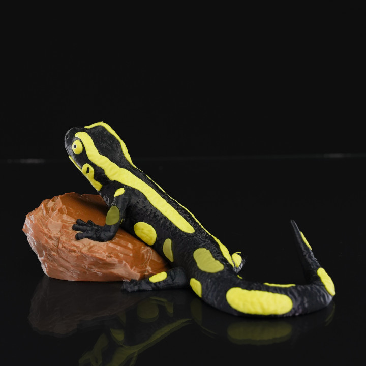 Salamander Statue image