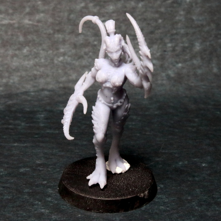 Daemon Scourge Sister - Daemon 4 image