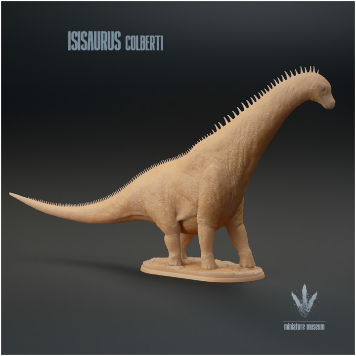 Isisaurus colberti : The Indian Giant image