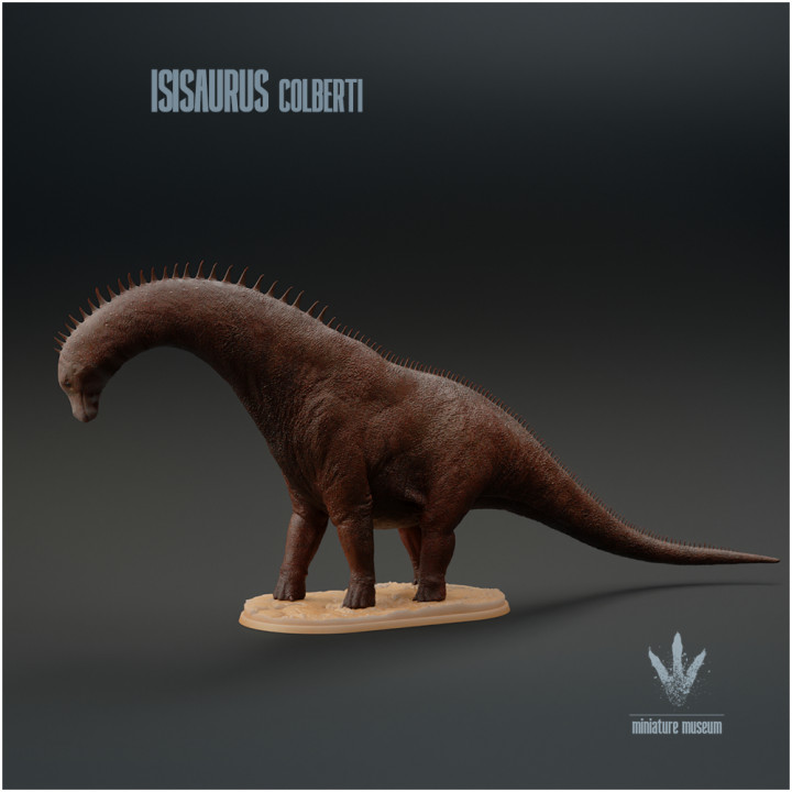 Isisaurus colberti : Looking Down image