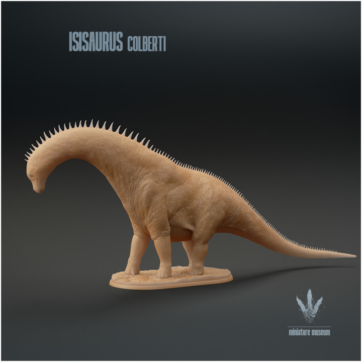 Isisaurus colberti : Looking Down image