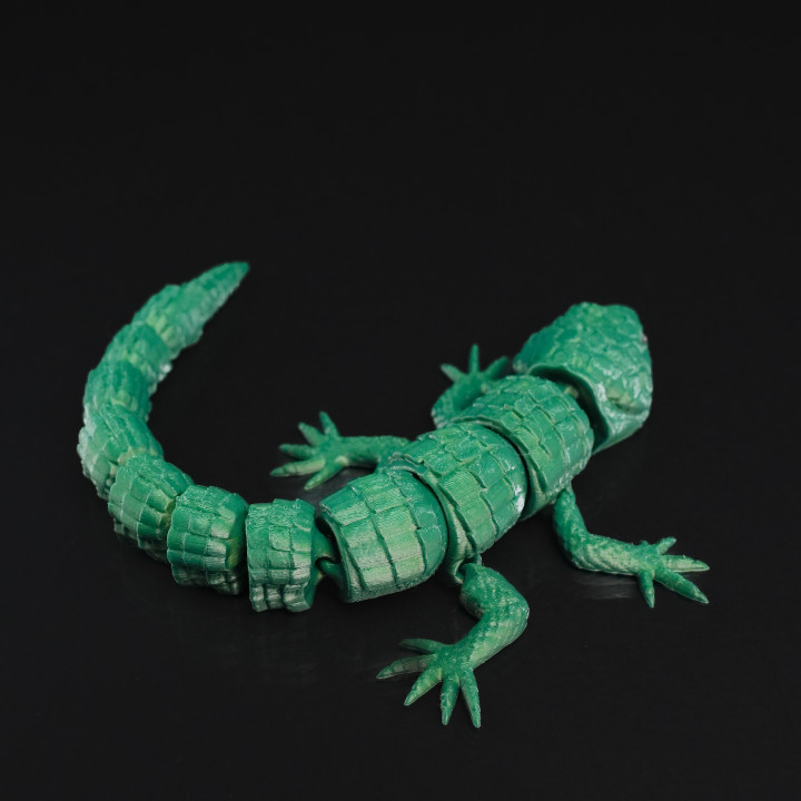Articulated Lizard image
