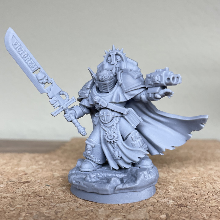Silver Wardens Champion of the Brothers image