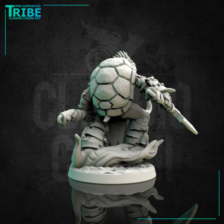 (0154) Male turtle man warrior with axes image