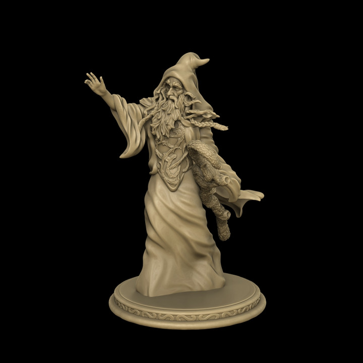 Druid V2