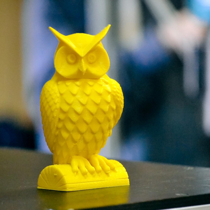 4 Different Coloured Owls 3D Models image