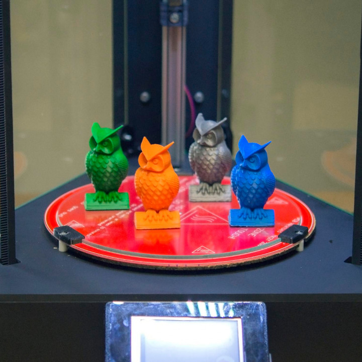4 Different Coloured Owls 3D Models image