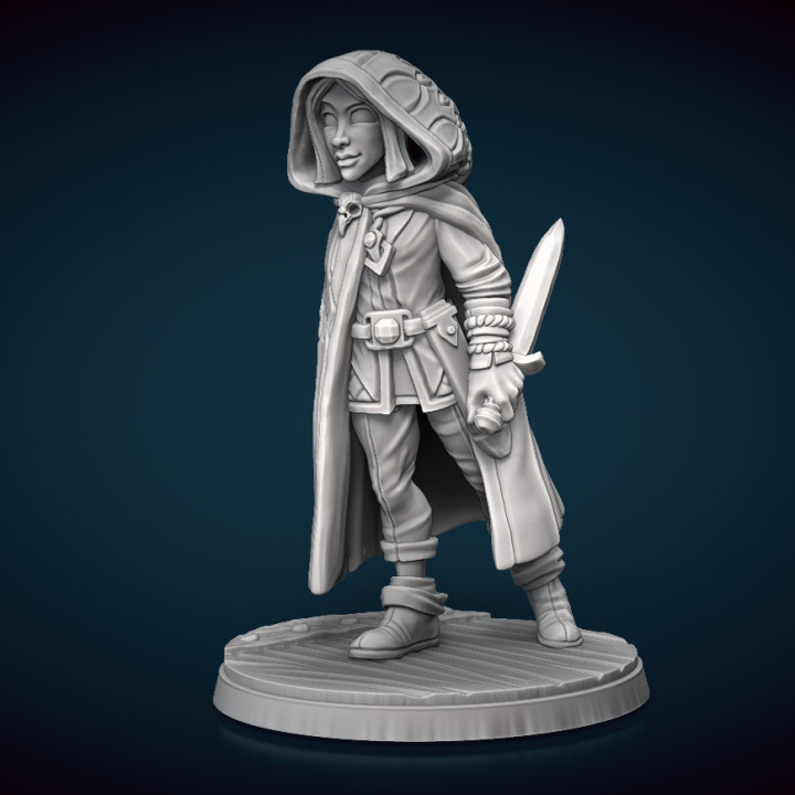 Rogue Tabletop Miniature image