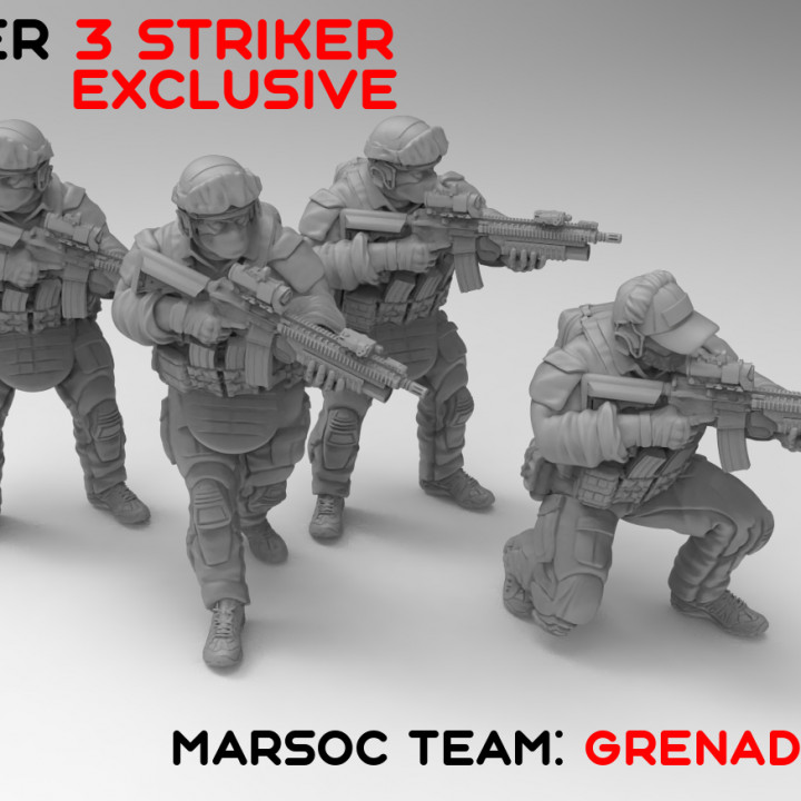 TurnBase Miniatures: Wargames - Marsoc Grenadiers (june exclusive) image
