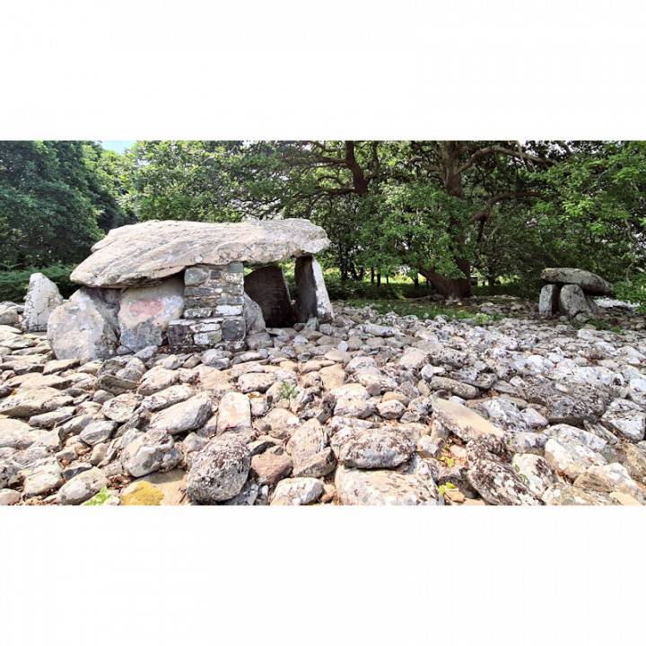Dyffryn Ardudwy neolithic burial chambers image