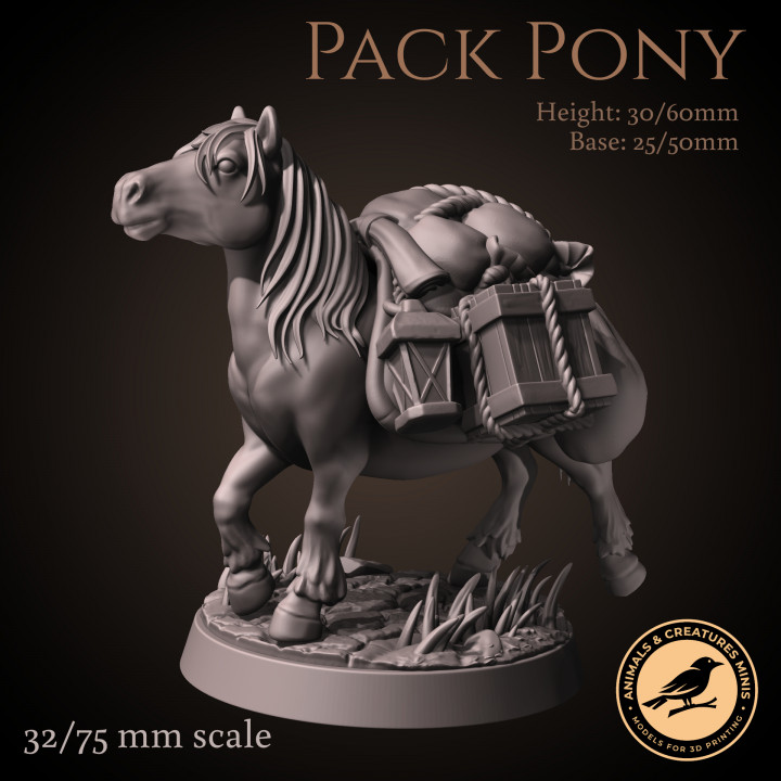 Pack pony image