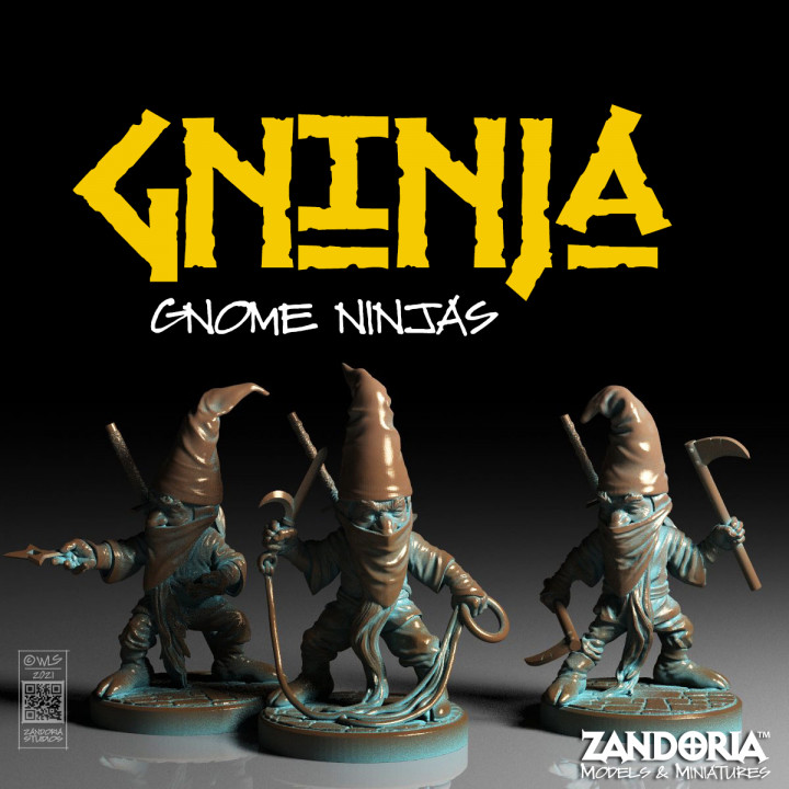 Gninja--Gnome Ninjas image