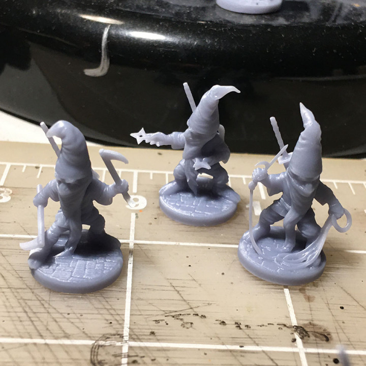 Gninja--Gnome Ninjas