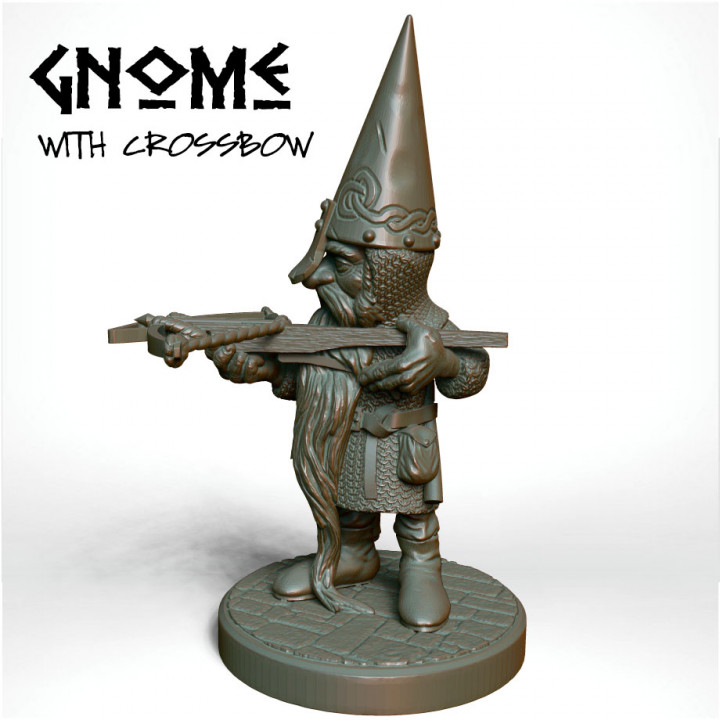 Gnome with Crossbow image