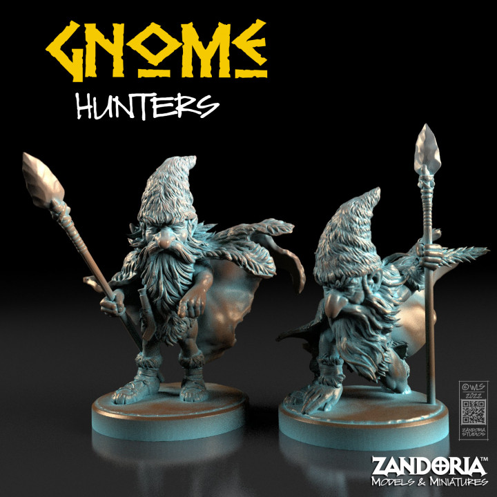 Gnome Hunters image