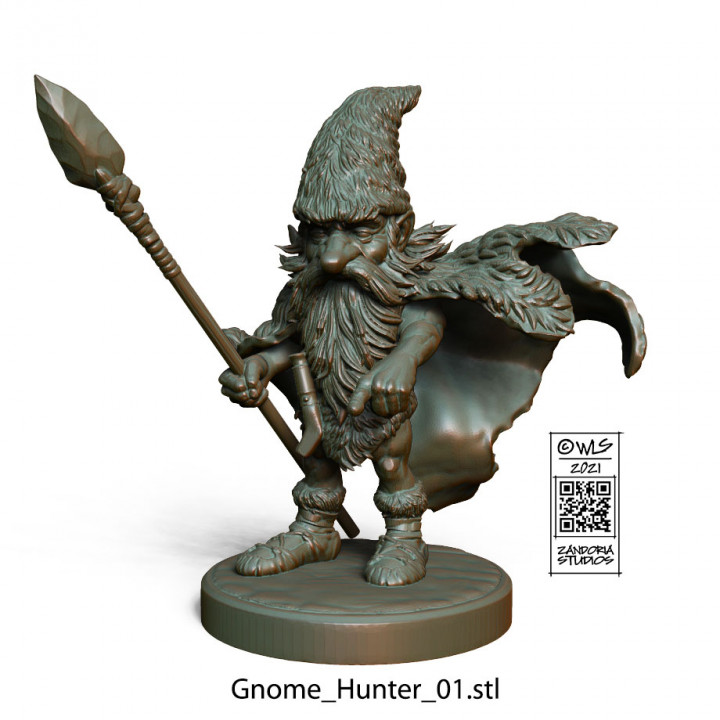 Gnome Hunters image