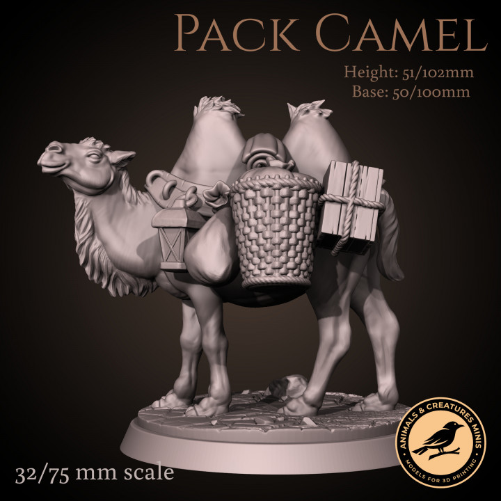 Pack camel image