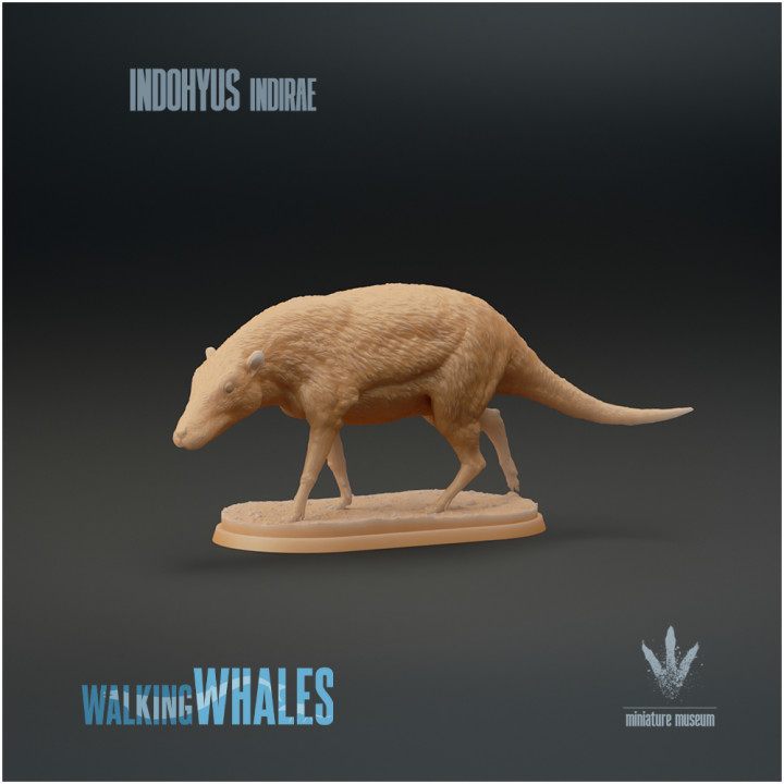 3D Printable Indohyus indirae : The Missing Link by Miniature Museum