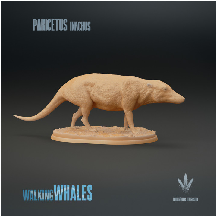 3D Printable Pakicetus inachus : Dog-like Whale by Miniature Museum