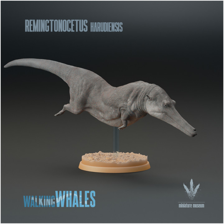 3D Printable Remingtonocetus harudiensis : The Slender Whale by ...