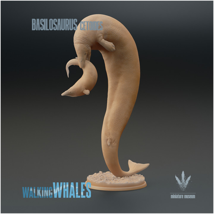3D Printable Basilosaurus cetoides Hunting by Miniature Museum