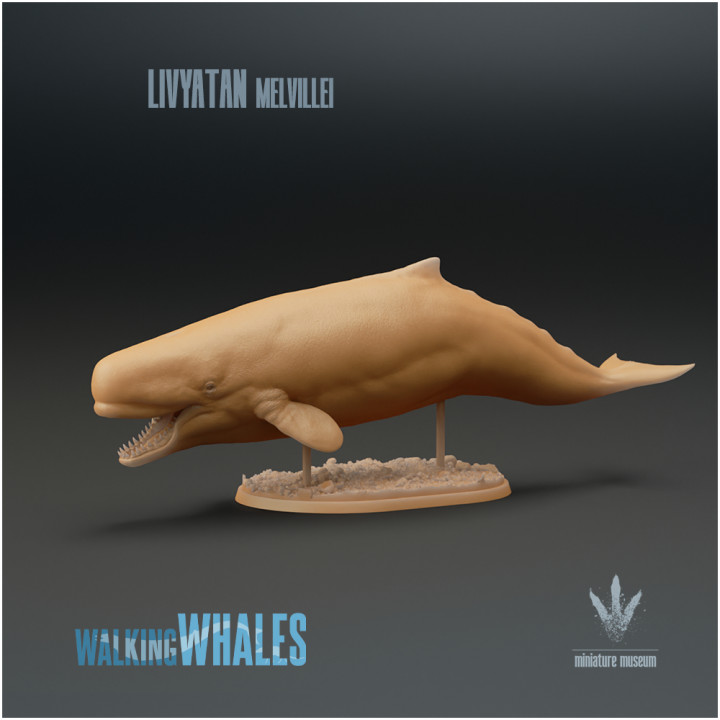 Livyatan melvillei : The Sea Monster