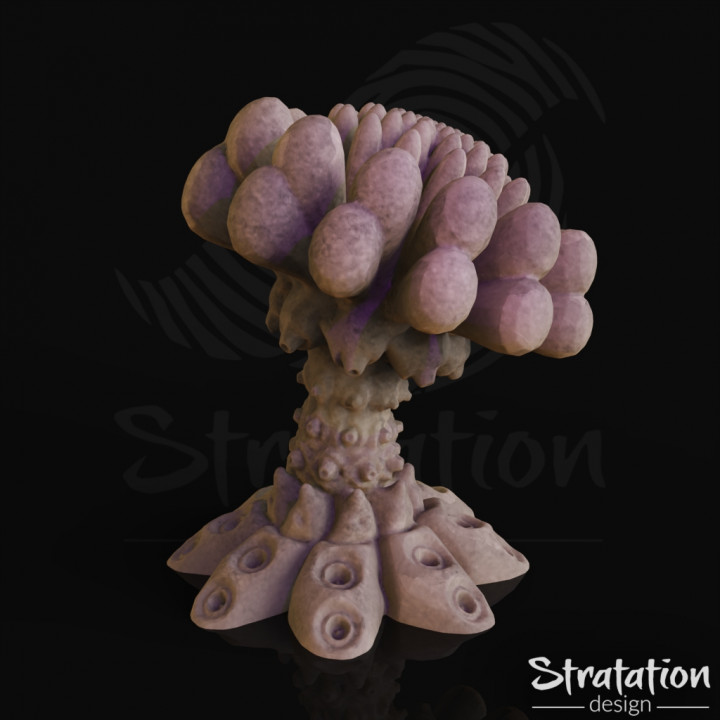 Anemone Mushroom