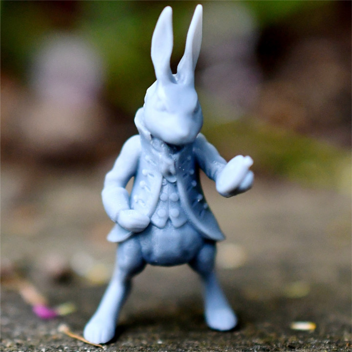 White Rabbit image