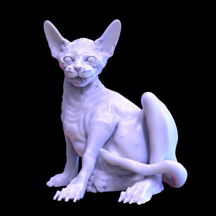Cheshire Cat Hairless Version image