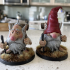 Gonk Gnome Wanderers print image