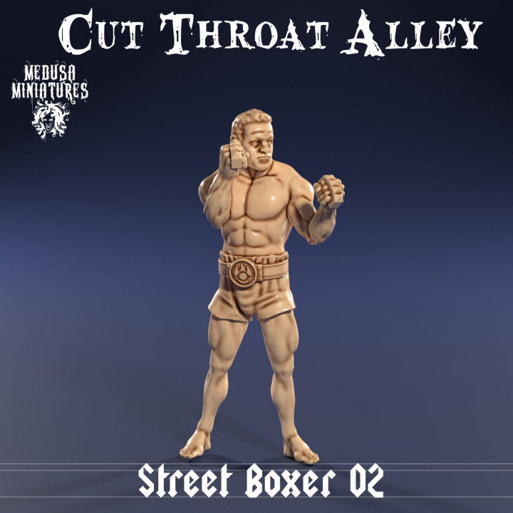 Street Boxer 02 (Cut Throat Alley)