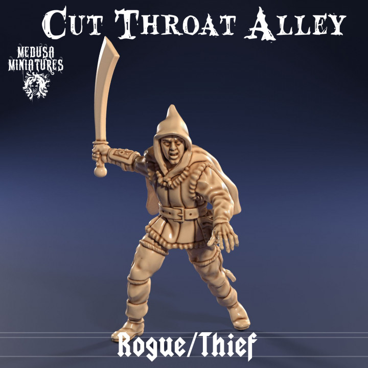 Rogue/Thief with Sword (Cut Throat Alley)