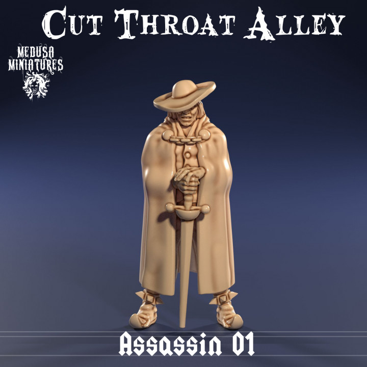 Assassin 01 (Cut Throat Alley)