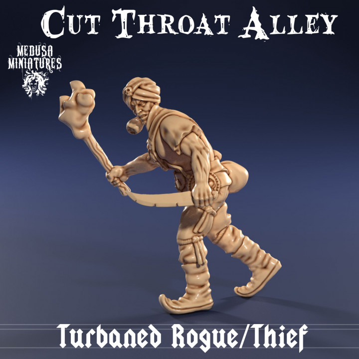 Rogue/Thief with Turban (Cut Throat Alley) image