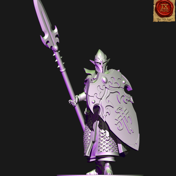 Dark elves spearman image