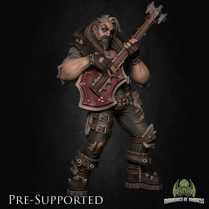 Magnus The Outsider Bard [PRE-SUPPORTED] Human Musician image