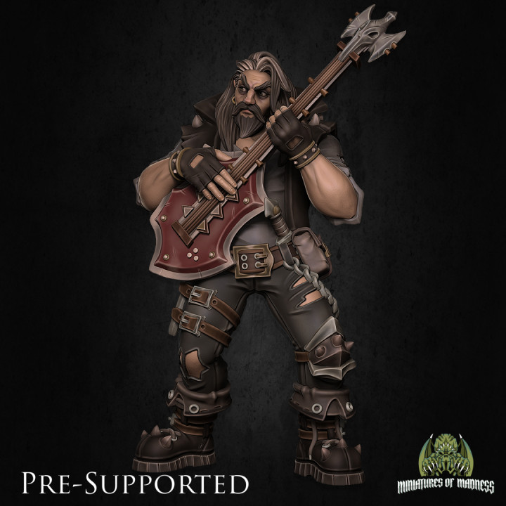 Magnus The Outsider Bard [PRE-SUPPORTED] Human Musician image