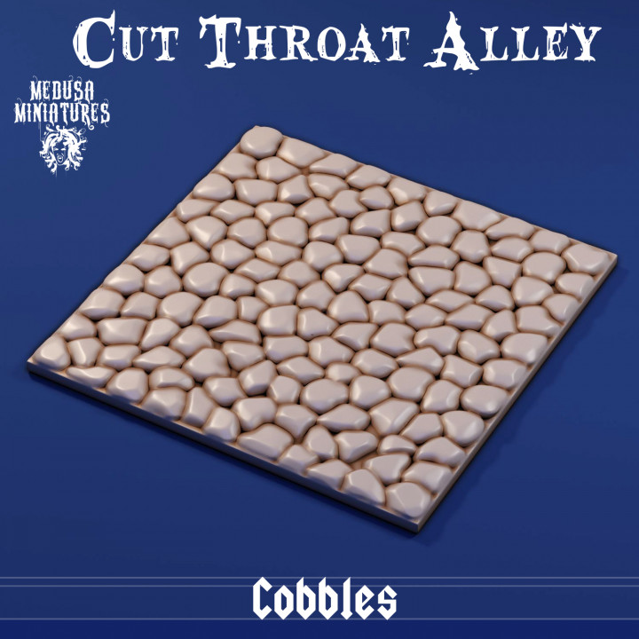 Cut Throat Alley - Cobbles image