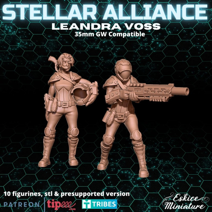 Stellar Alliance saison 1, 5 heroes in 10 figurines - BUNDLE image