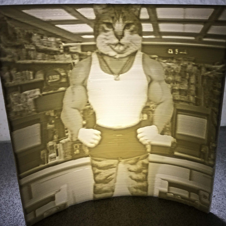 Lithophane of a House Cat Body Builder