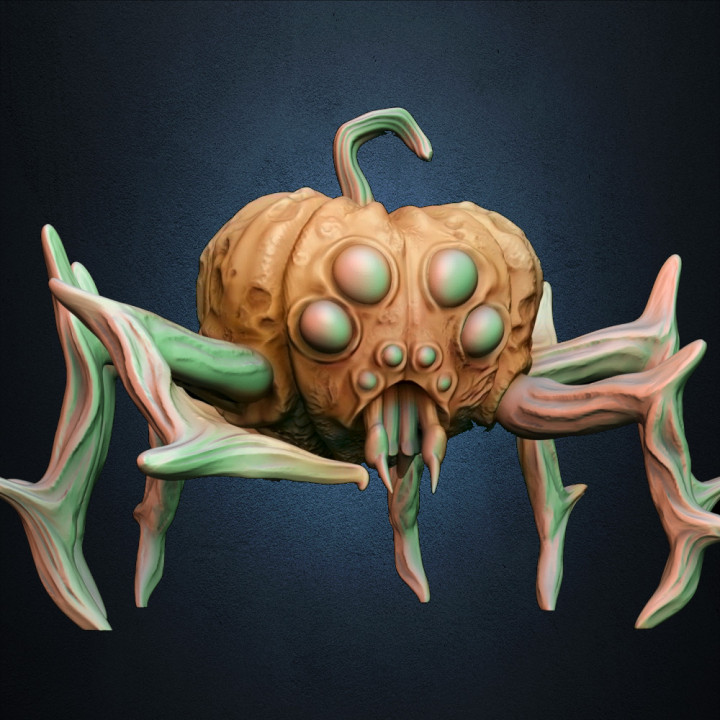 Pumpkin Spider image