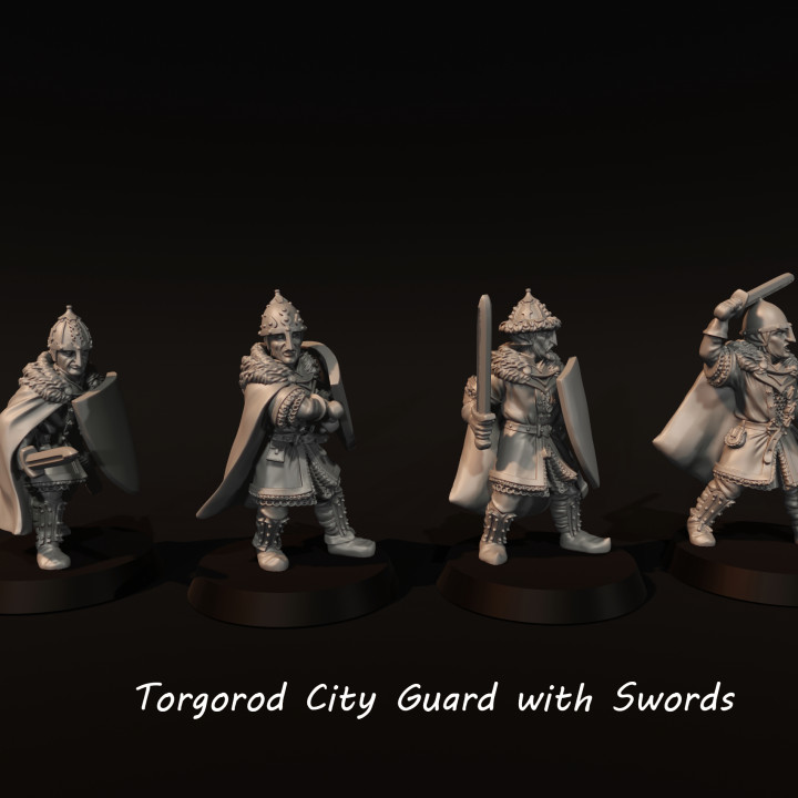 Torgorod City Guard With Swords image