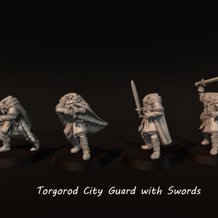 Torgorod City Guard With Swords image