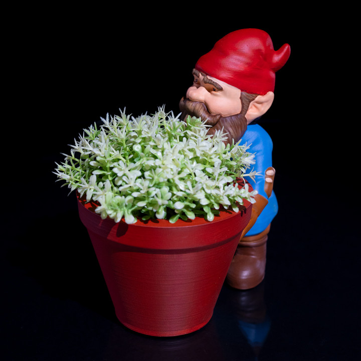 Gardening Gnome - Pebbles image