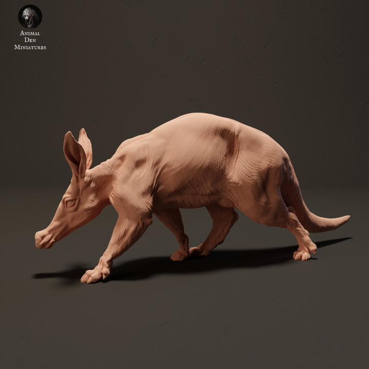 Aardvark image