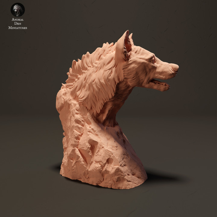 Spotted Hyena Bust image